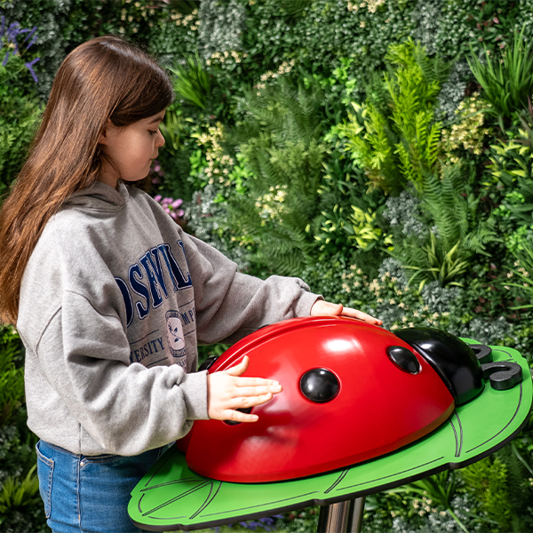 מתקן מוסיקאלי